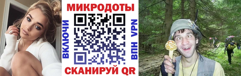 Псилоцибиновые грибы Psilocybe  где найти наркотики  Щучье 