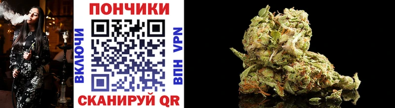 Канабис ГИДРОПОН  Щучье 